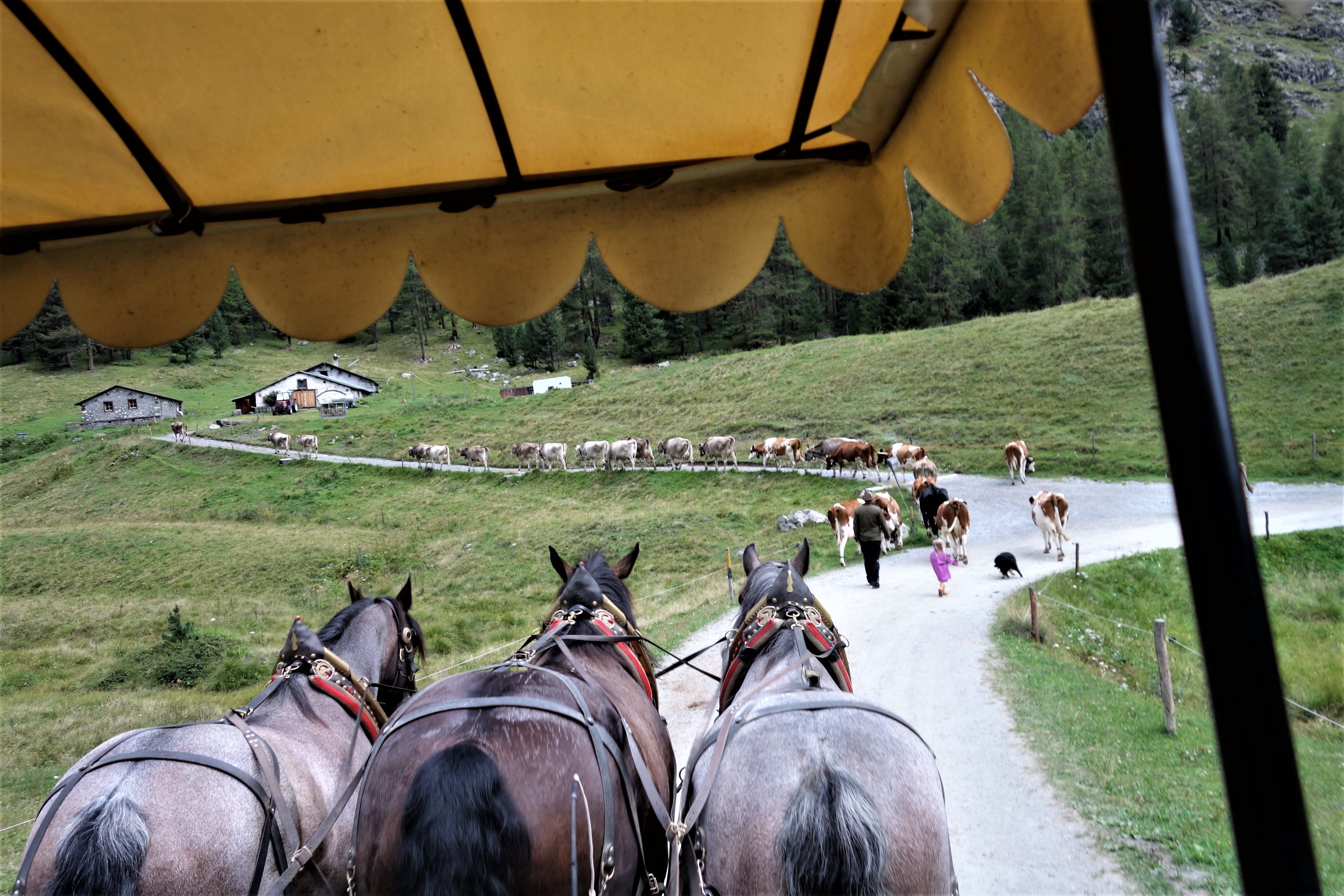 Switzerland